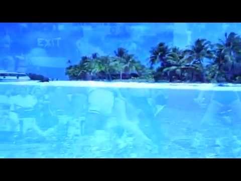Cadillac - Endless Summer