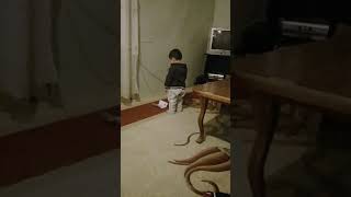 Namaz Qılan Balaca Çocuk