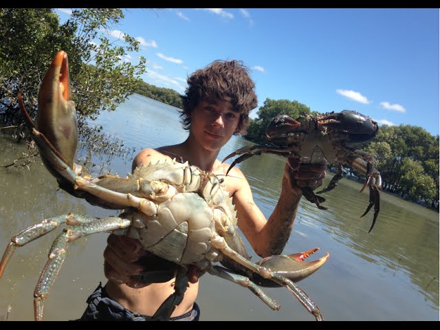 Aussie Teens Go Crabbing By Hand And Have Seafood BBQ - Video