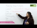Marketing Slangs & Jargons - Business English ESL Lesson