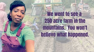 Visited A 250 Acre Herb Farm In Nc Mountains Single Black Woman Farmer