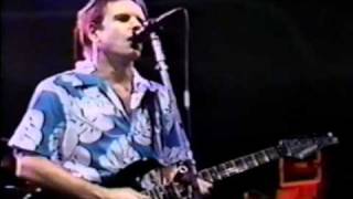 Watch Grateful Dead Victim Or The Crime Live video