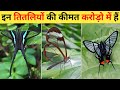 दुनिया की सबसे सुंदर तितली | Most Beautiful Butterfly Video | Top 10 Butterflies Videos On Earth