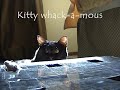 Kitty whack-a-mouse