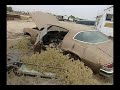 Fresno CamaroBird Junk... 11 1 12