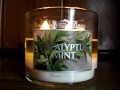 Bath and Body Works Slatkin Candle Review- Candle of the Week: Eucalyptus Mint (NEW White Barn) 2012