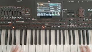 New Italo Disco Vol 2 - Korg Style Pa4X (Danekoo1 ) 2023