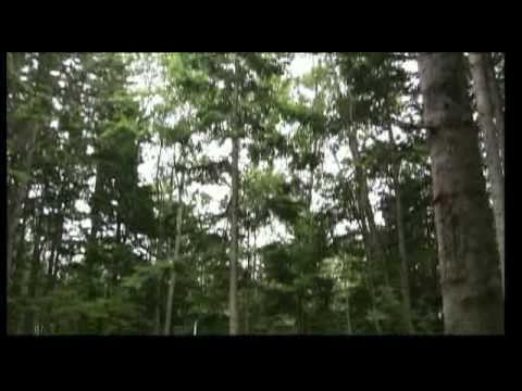 Sakhalin-2 Project_Documentary about Sakhalin Island_ENG.mpg