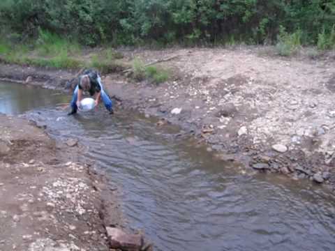 gold rush alaska jack hoffman. gold panning in Alaska