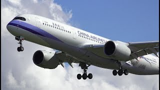 China Airlines B-18908 (Taiwan Blue Magpie Bird Livery) Landing - 4K Raw Footages