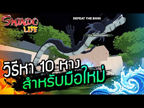 🔥Roblox🌊 Shindo Life ลง War ยังไงให้ได้ 10 หาง? วิธีหา 10 หางสำหรับมือใหม่
