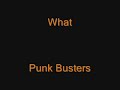What- Punk Busters