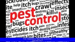 The Best Exterminator Stamford CT - Pest Service 100% Satisfaction Or Money Back!