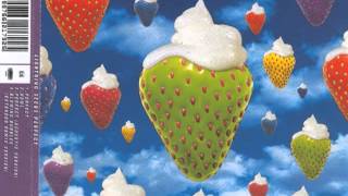 Watch Lightning Seeds Perfect video