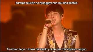 Watch Shinhwa New Me video