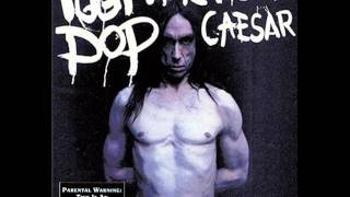 Watch Iggy Pop Mixin The Colors video