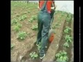 Ручной окучник в Новосибирске.<br /><br