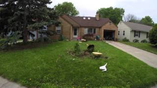 Timelapse project- Yard Work