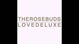 Watch Rosebuds No Ordinary Love video