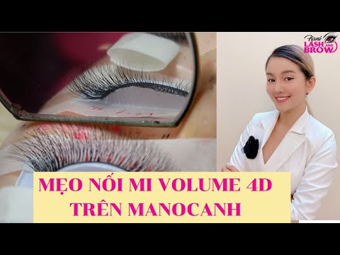 HƯỚNG DẪN NỐI MI VOLUME 4D TRÊN MANOCANH | HỌC NỐI MI HANI