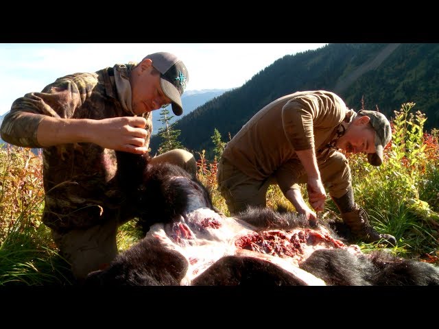 Watch How to Skin and Butcher a Black Bear with Steven Rinella - MeatEater on YouTube.