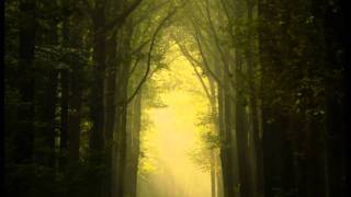 Watch Aes Dana Ethereal Visions video