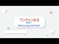Will my Dog Steal Food?| Funny Dog Moment | NFL Halftime DOG SHOW【笑える】留守の間に犬たちは何するのか?検証1