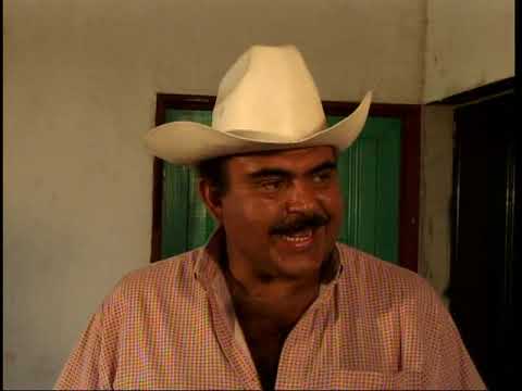 ASESINO DE MUJERES LA PELICULA WALTER VILLATORO