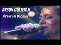 AYSUN GÜLTEKİN - ERZURUM DAĞLARI