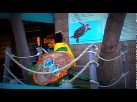 Taron Ka Chamakta Gehna Ho beach time in savannah ga