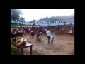cueca tarijeña