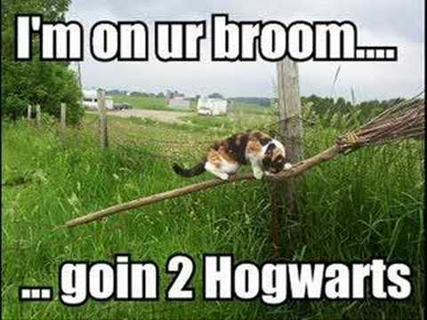 very funny cats with captions. funny cats with captions. very funny cats with captions.