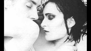 Watch Siouxsie The Banshees Forever video