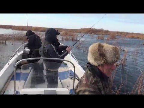 клев рыбы прогноз шепетовка клев рыбы предсказание шепетовка