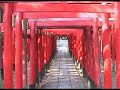 Japan Shinto Shrine Gate Japanese Jinja Torii Tori Mon