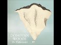 Donovan Woods - Won't Come Back