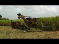 Sugar Cane Combine Harvester - Barbados 2012
