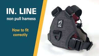IN . LINE non pull harness | Fitting guide | BAUMUTT