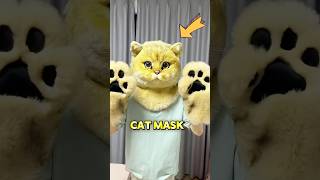 These Cats Dont Like The Giant Cat Mask