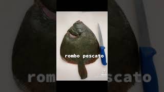 The Turbot Fish Cutting Skills