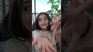 Ya Salak Mısın Burnuma Geliyordu, Burnum Estetik