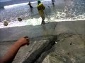 gran pesca