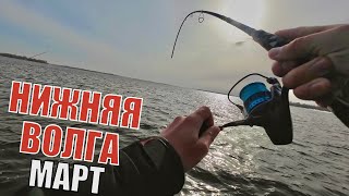 Открытие Сезона На Волге. Рыбалка В Ледяной Воде На Тейл-Спиннеры