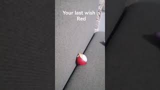 Your Last Wish Is Red