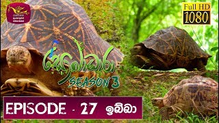 Sobadhara - Sri Lanka Wildlife Documentary | 2019-09-27 |Tortoise