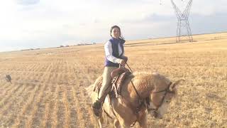 Girl Horse Riding - Live - Riding Lovers - Hd