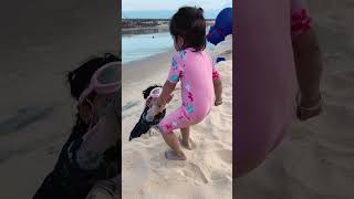 Lns - Bé Miu Giải Cứu Bé Cún Help Little Sister