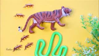 Jewelry Stop Motion - Tigers Rock'n'roll