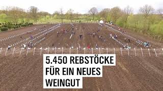 Video // NDR Weinberg