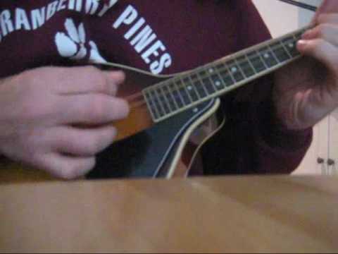 Hallelujah on mandolin by Leonard Cohen tab